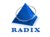 Radixweb Logo