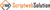 Script Web Solution logo