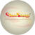 ShivShakti Web Solutions & Services logo