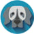 Sidekick Web Studio logo