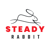 Steady Rabbit Technology Logo