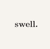 Swell YYC logo