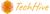 TechHive logo