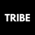 Tribe Websites logo