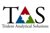 Trident Analytical Solutions logo