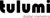 Tulumi Digital Marketing logo