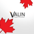 Valin Solutions logo