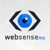 Websense Soluciones logo