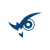 Wise Vision logo