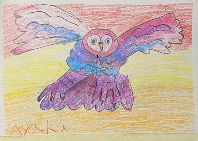 Fly Owl Colorful