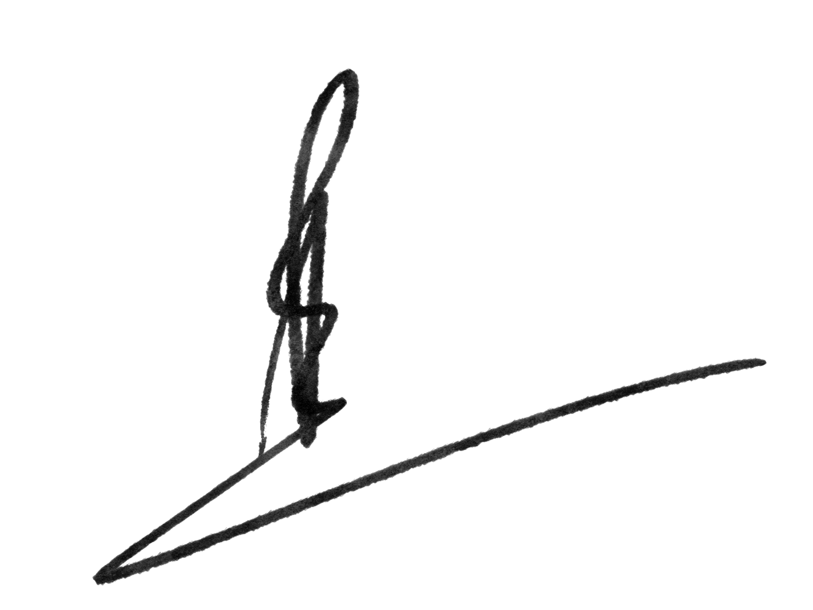 Signature Ho Huu An