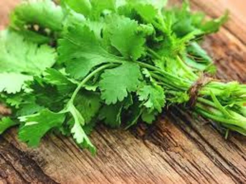 Coriander leaves