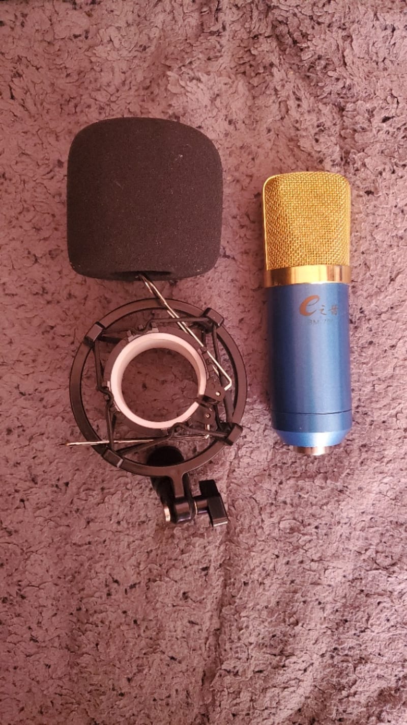 Microphone BM series