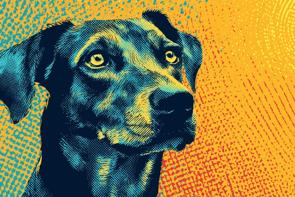 Soulful Gaze - A black dog rendered in vibrant pop art style with teal and yellow halftone patterns against a warm orange background.