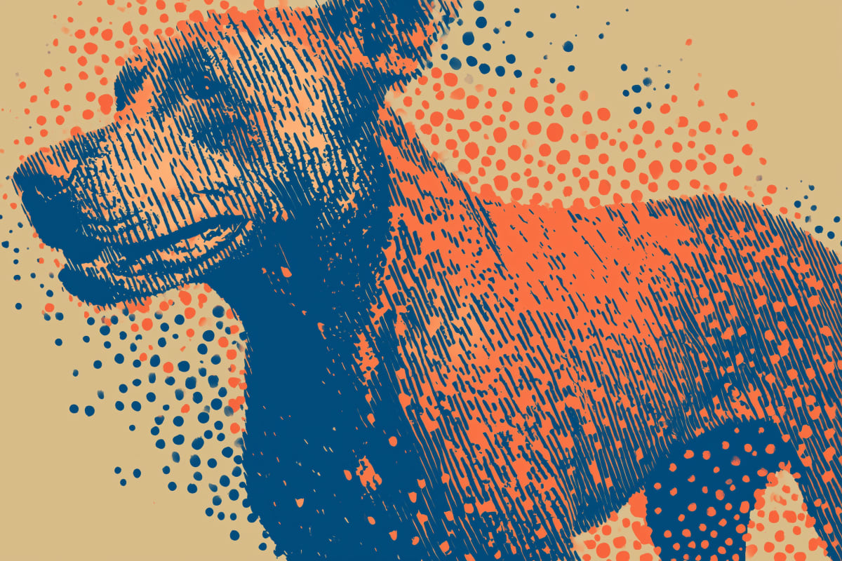Joyful Emergence - A sturdy fine hound rendered in bold blue and coral halftone dots, their hand raised in an expressive gesture against a warm beige background.