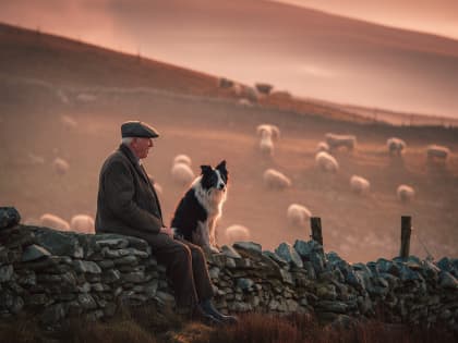 Shepherd's Twilight Vigil