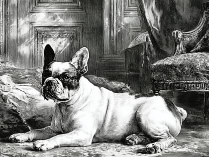 Regal Repose