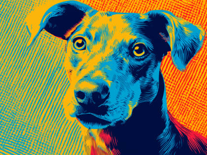 Neon Companion