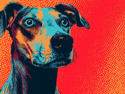 Vibrant Canine Portrait