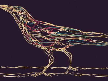 Geometric Songbird