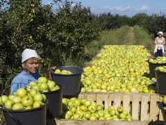 Здесь жил царь