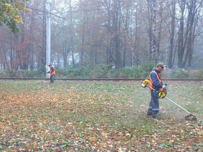 Курск: уборка города к зимнему сезону