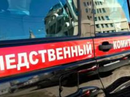 Следком расследует факт обстрела ВСУ населенного пункта Горналь в Курской области