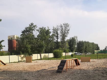 В парке КЗТЗ и в сквере Героев 16-й Воздушной армии устанавливают оборудование для дрессировки собак