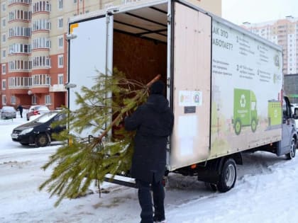 15 и 21 января по городу Курску проедет Экотакси, которое соберёт новогодние живые ели