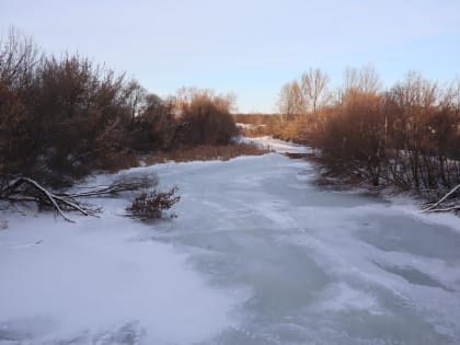 В Курской области похолодает до 11 градусов мороза