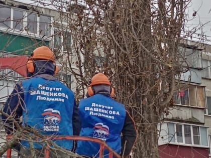 Депутаты реализуют народную программу партии в Сеймском округе