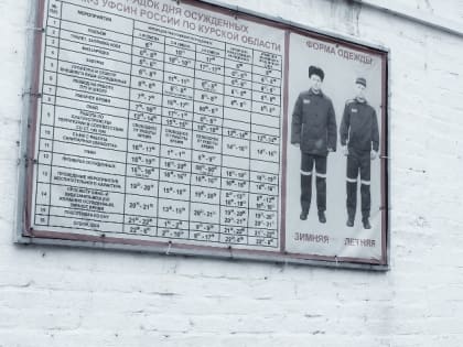 Житель Железногорска осужден за убийство знакомого