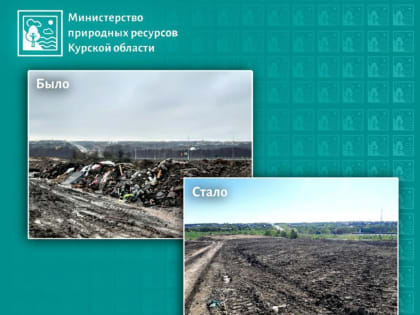 Минприроды Курской области пресечено незаконное размещение отходов