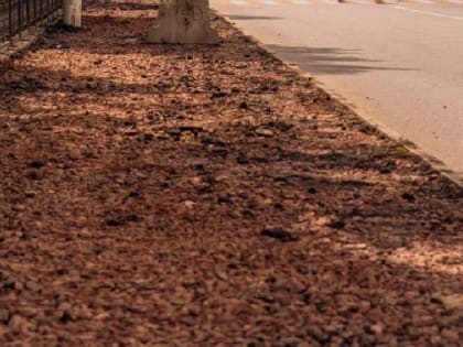 На улице Красной Армии 7 июля восстанавливают бордюры