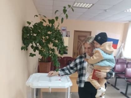 В Курской области проголосовали 29,52 % избирателей