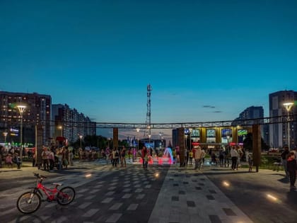 В 2022 году в Курске появилось 169 цветников