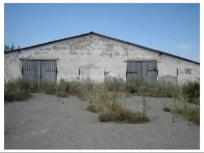 Курская успешная сельхозкомпания оказалась банкротом после поглощения агрохолдиногом “ЭкоНива”