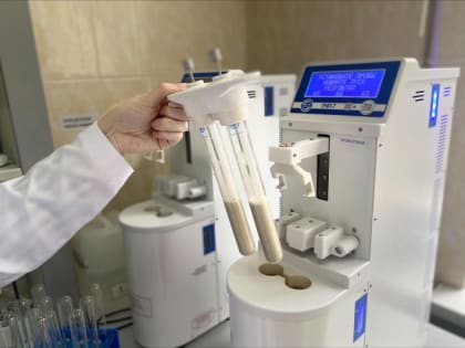 Курская область экспортировала более 470 тысяч тонн зерновых