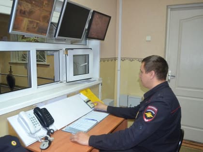 Железногорские полицейские подвели итоги новогодних праздников