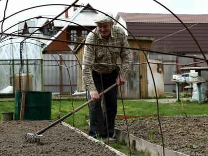 Госдума рассматривает возможность установить “дачную амнистию” для бань и сараев