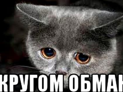 Мошенники стали забирать деньги у россиян, обвиняя их в преступлениях