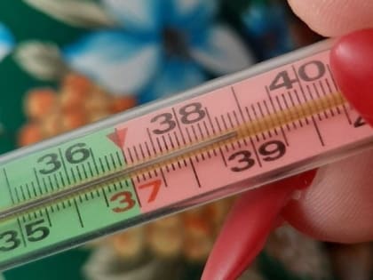 В Курске детсады не посещает почти половина ребятишек