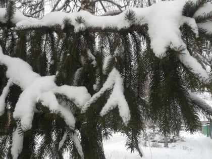 Курян приглашают на выставку «Метельно, сказочно, красиво…»