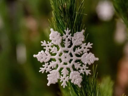 Седмица 31-я по Пятидесятнице