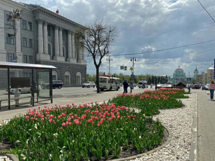 Делегации из Москвы понравились чистые и ухоженные улицы Курска