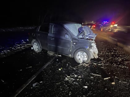 В страшной аварии под Курском погибли два человека