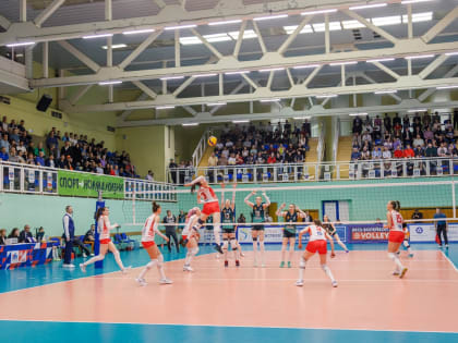 Курский клуб «ЮЗГУ-Атом» получил право выступать в волейбольной Суперлиге