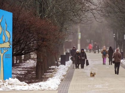 Курская область занимает 28-е место в России по качеству жизни