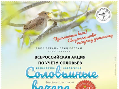 Союз охраны птиц России объявляет проведение экологической акции «Соловьиные вечера — 2023»