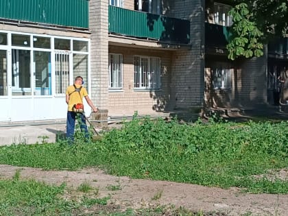 Летние субботники на территории студгородка ЮЗГУ